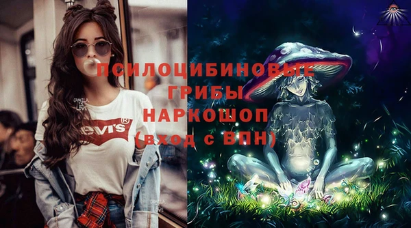 спиды Алексеевка