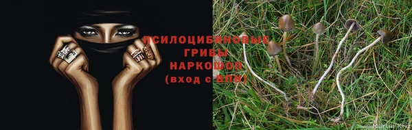 альфа пвп VHQ Нефтекумск